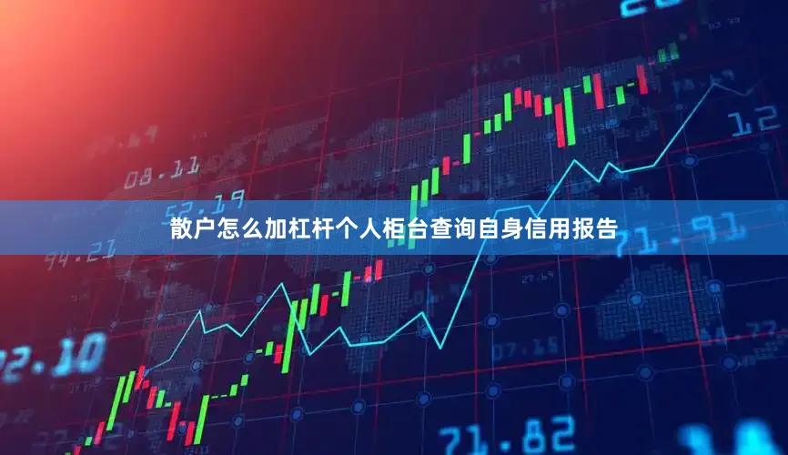 散户怎么加杠杆个人柜台查询自身信用报告