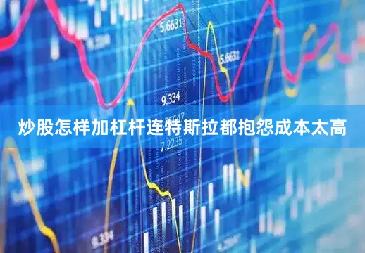 炒股怎样加杠杆连特斯拉都抱怨成本太高