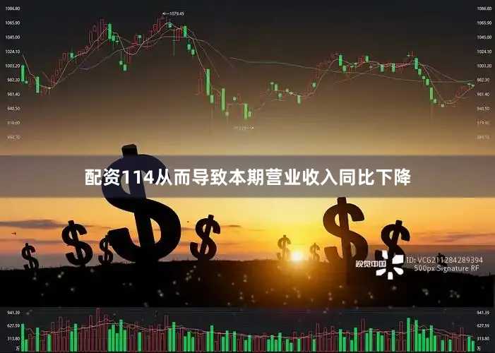 配资114从而导致本期营业收入同比下降