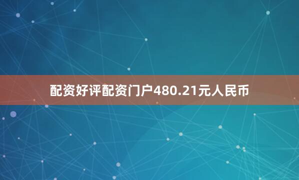 配资好评配资门户480.21元人民币