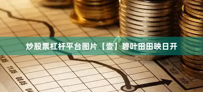 炒股票杠杆平台图片【壹】碧叶田田映日开