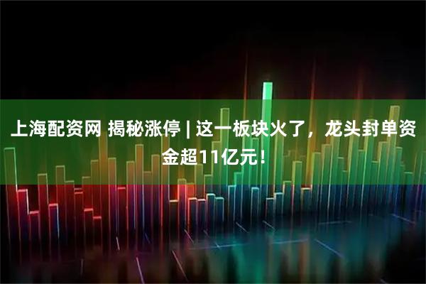 上海配资网 揭秘涨停 | 这一板块火了，龙头封单资金超11亿元！
